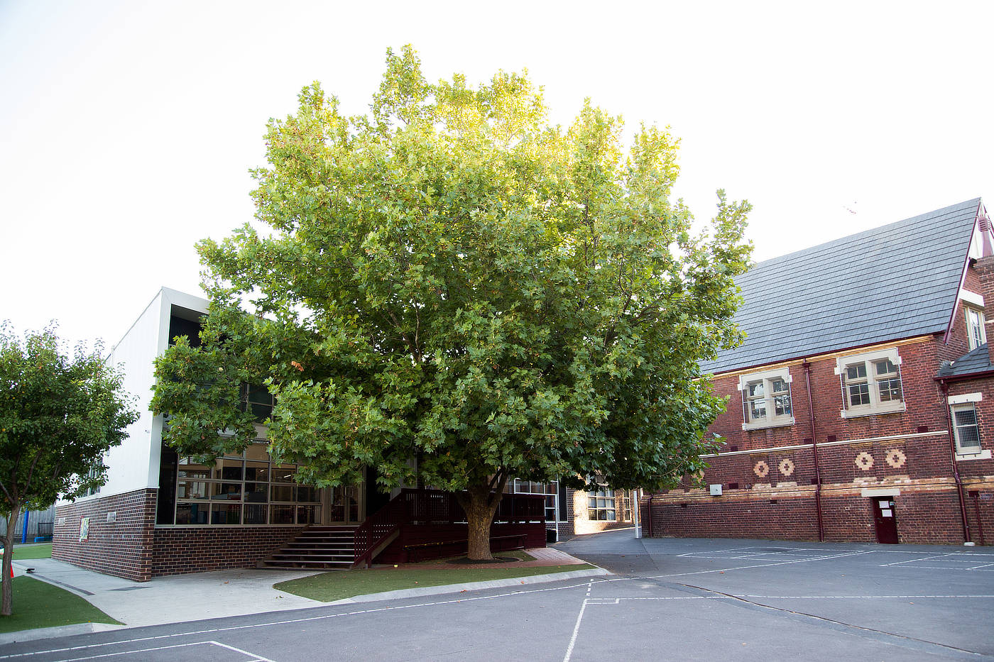 community-armadale-primary-school